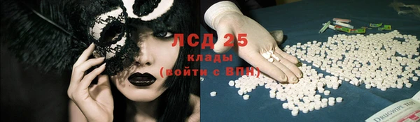 прущие грибы Алексин