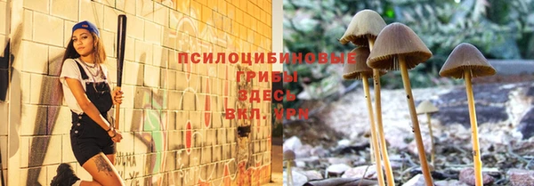 прущие грибы Алексин