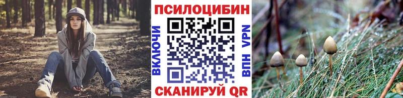omg   Куйбышев  Галлюциногенные грибы мицелий  купить  цена 